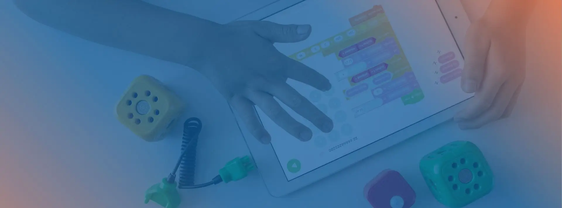 education sector banner 2