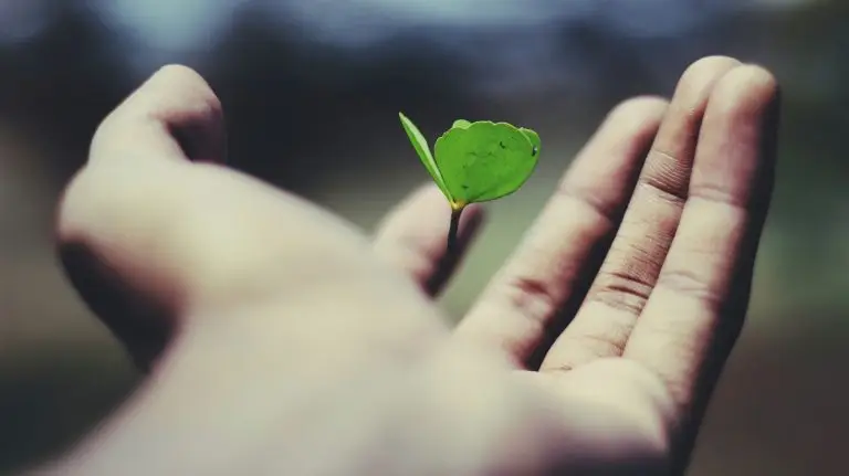 Image depicting growth.